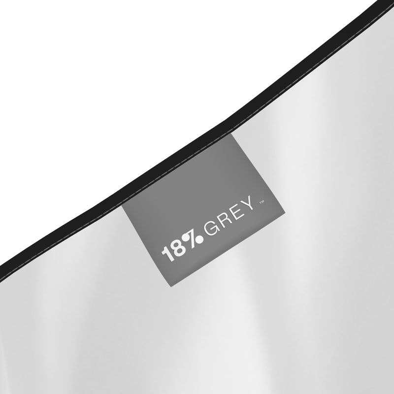 Silk slip dress (mini): Calathea print