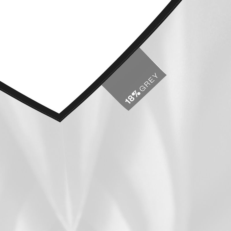 Silk slip dress (midi): Calathea print