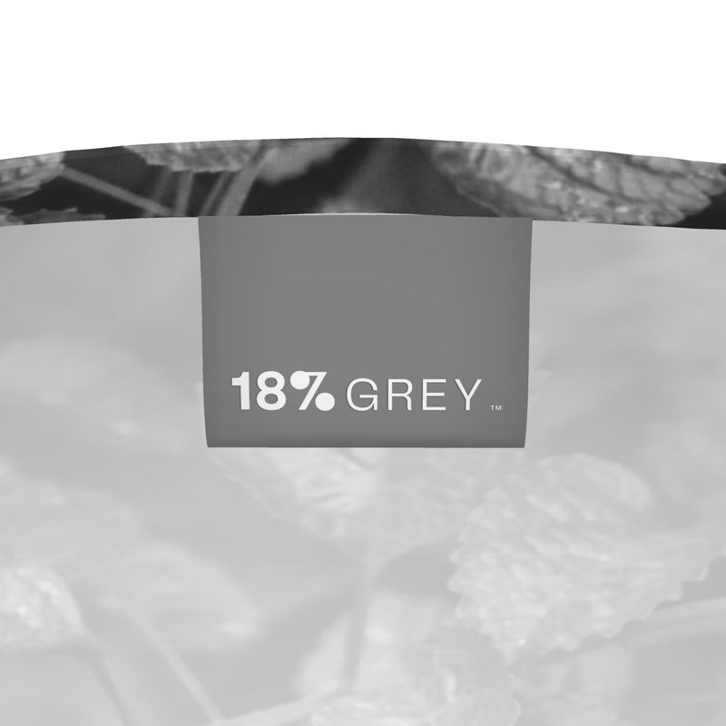 Long sleeve t-shirt: Leaf print